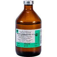 Масло камфорное 10% 100мл